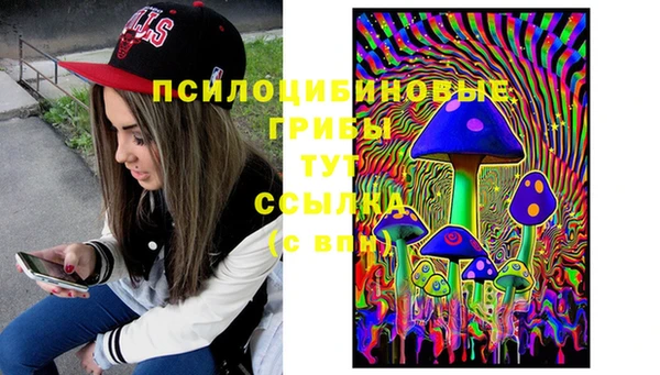 трава Беломорск